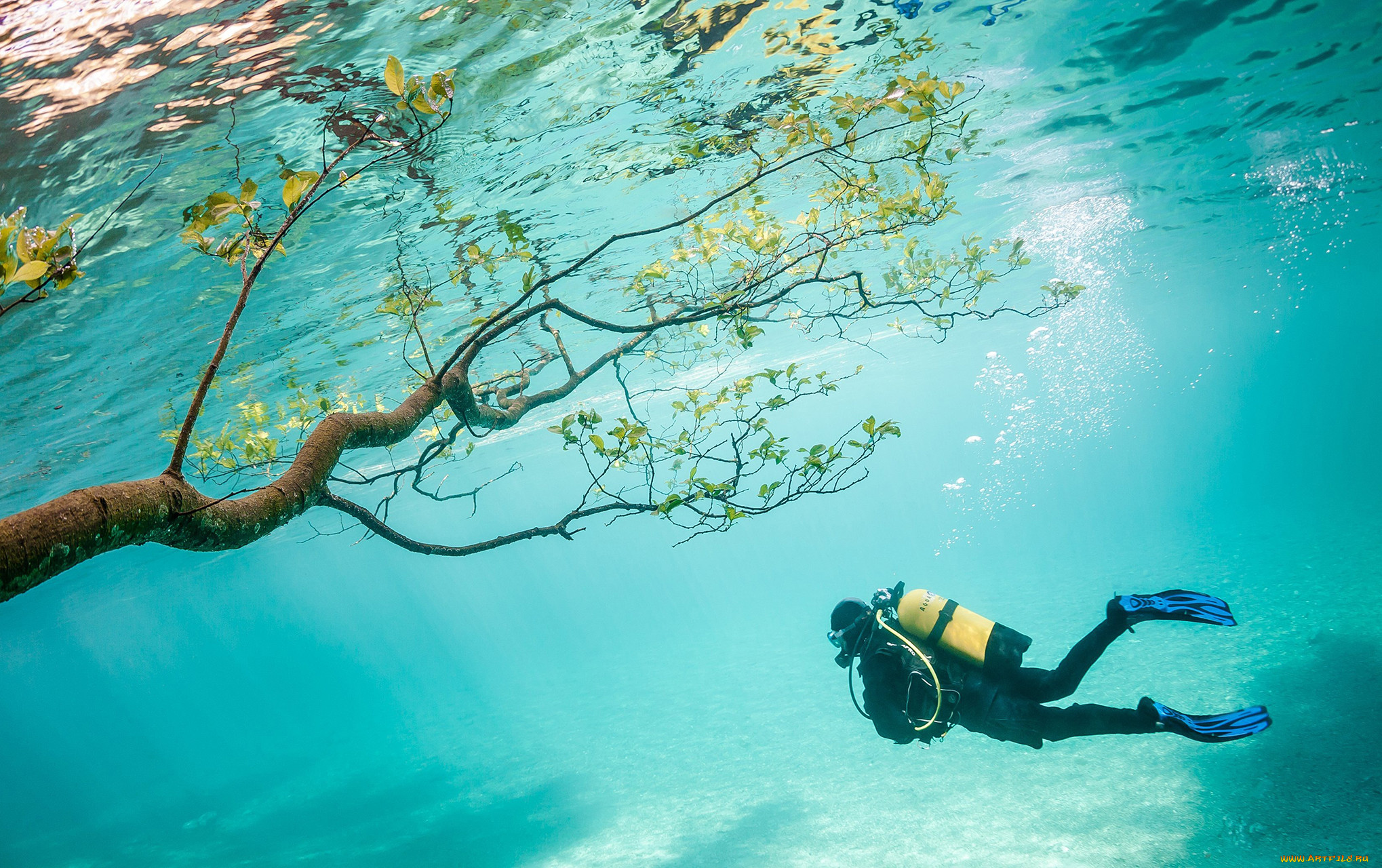 diving, , - , , , , 